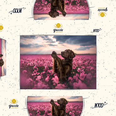 Darstellung des Puzzle Motivs Chocolate Labrador in Blooming Pink Field 1000 Puzzle Schachtel 3D Modell