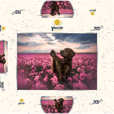 Darstellung des Puzzle Motivs Chocolate Labrador in Blooming Pink Field 200 Puzzle Schachtel 3D Modell