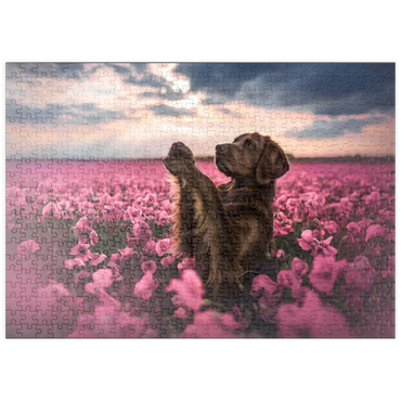 Darstellung des Puzzle Motivs puzzleplate Chocolate Labrador in Blooming Pink Field 500 Puzzle