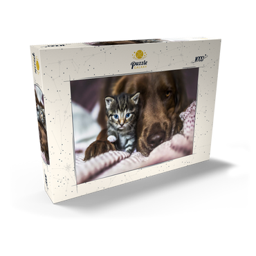 Darstellung des Puzzle Motivs Kitten and Dog Resting Together 1000 Puzzle Schachtel Ansicht2