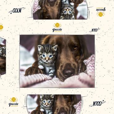 Darstellung des Puzzle Motivs Kitten and Dog Resting Together 1000 Puzzle Schachtel 3D Modell