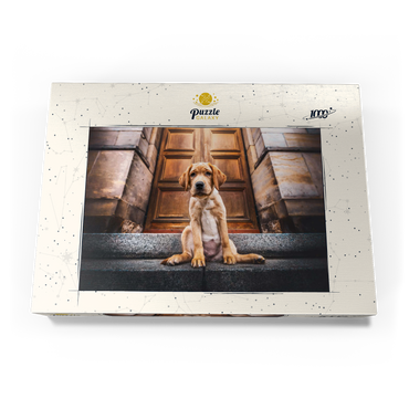 Darstellung des Puzzle Motivs Golden Labrador Puppy on Stone Steps 1000 Puzzle Schachtel Ansicht3