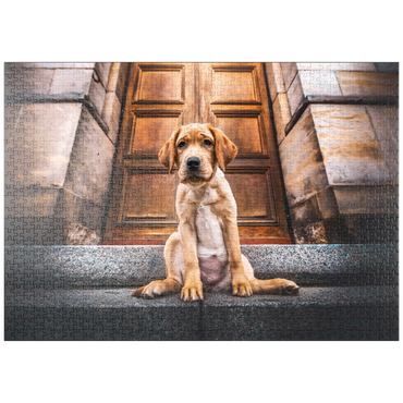 Darstellung des Puzzle Motivs puzzleplate Golden Labrador Puppy on Stone Steps 1000 Puzzle