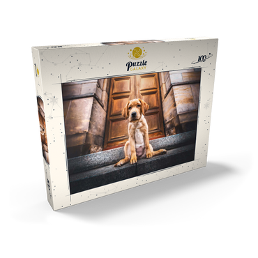 Darstellung des Puzzle Motivs Golden Labrador Puppy on Stone Steps 100 Puzzle Schachtel Ansicht2