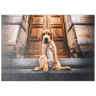 Darstellung des Puzzle Motivs puzzleplate Golden Labrador Puppy on Stone Steps 100 Puzzle