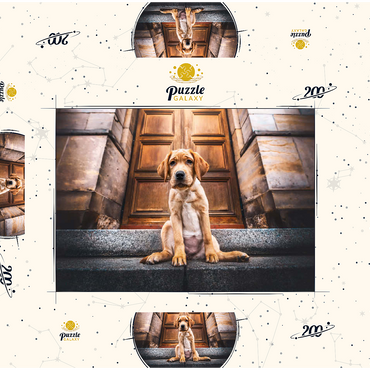 Darstellung des Puzzle Motivs Golden Labrador Puppy on Stone Steps 200 Puzzle Schachtel 3D Modell