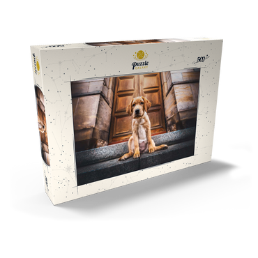 Darstellung des Puzzle Motivs Golden Labrador Puppy on Stone Steps 500 Puzzle Schachtel Ansicht2
