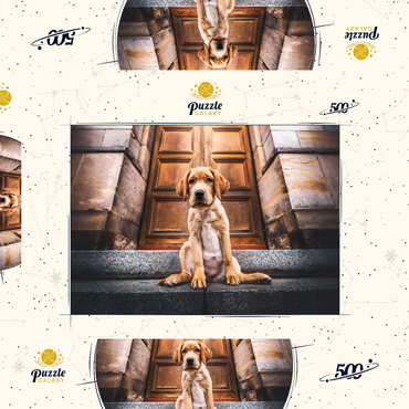 Darstellung des Puzzle Motivs Golden Labrador Puppy on Stone Steps 500 Puzzle Schachtel 3D Modell