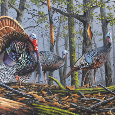 Darstellung des Puzzle Motivs Wild Eastern Turkeys in Foggy Woodland 100 Puzzle 3D Modell