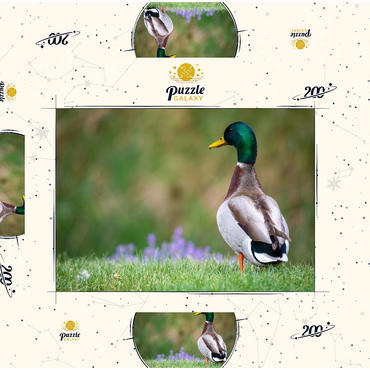 Darstellung des Puzzle Motivs Mallard Duck on Spring Meadow with Flowers 200 Puzzle Schachtel 3D Modell