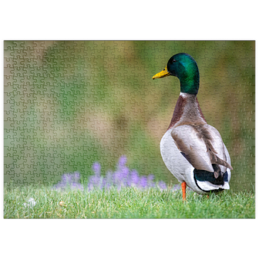 Darstellung des Puzzle Motivs puzzleplate Mallard Duck on Spring Meadow with Flowers 500 Puzzle