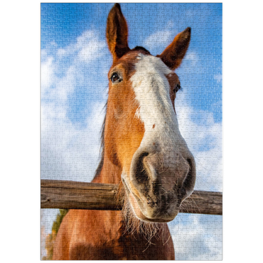 Darstellung des Puzzle Motivs puzzleplate Clydesdale Horse Close-Up with Blue Sky Backdrop 1000 Puzzle