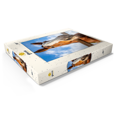 Darstellung des Puzzle Motivs Clydesdale Horse Close-Up with Blue Sky Backdrop 100 Puzzle Schachtel Ansicht1