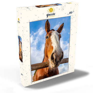 Darstellung des Puzzle Motivs Clydesdale Horse Close-Up with Blue Sky Backdrop 100 Puzzle Schachtel Ansicht2