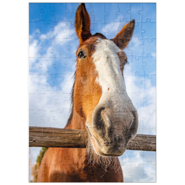 Darstellung des Puzzle Motivs puzzleplate Clydesdale Horse Close-Up with Blue Sky Backdrop 100 Puzzle