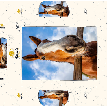 Darstellung des Puzzle Motivs Clydesdale Horse Close-Up with Blue Sky Backdrop 200 Puzzle Schachtel 3D Modell