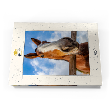 Darstellung des Puzzle Motivs Clydesdale Horse Close-Up with Blue Sky Backdrop 500 Puzzle Schachtel Ansicht3