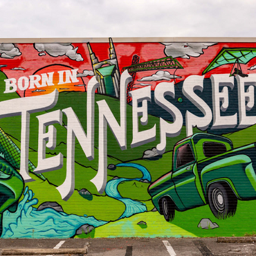 Darstellung des Puzzle Motivs Born in Tennessee Street Art Wall Mural 1000 Puzzle 3D Modell