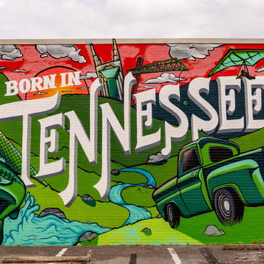 Darstellung des Puzzle Motivs Born in Tennessee Street Art Wall Mural 200 Puzzle 3D Modell