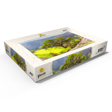 Darstellung des Puzzle Motivs California Oak Tree in Spring Green Hills 1000 Puzzle Schachtel Ansicht1