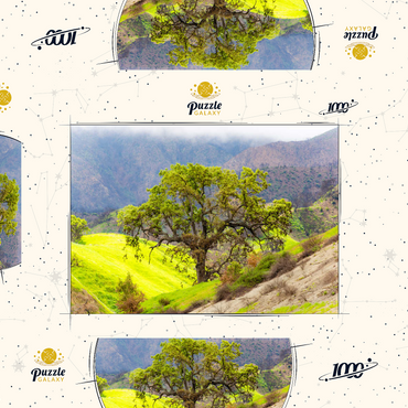 Darstellung des Puzzle Motivs California Oak Tree in Spring Green Hills 1000 Puzzle Schachtel 3D Modell