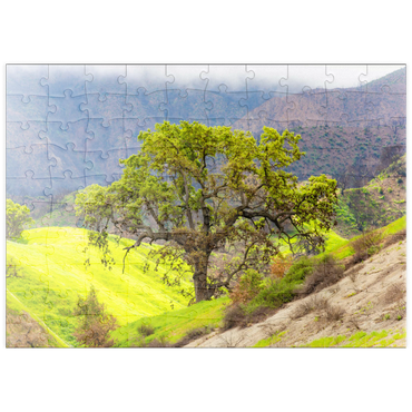 Darstellung des Puzzle Motivs puzzleplate California Oak Tree in Spring Green Hills 100 Puzzle