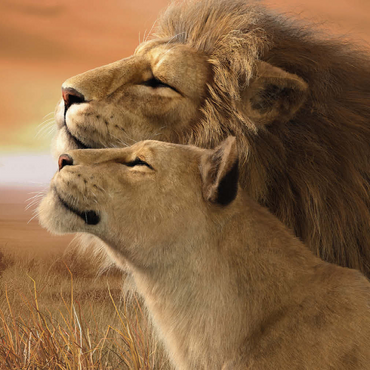 Darstellung des Puzzle Motivs A Tender Moment Wildlife - Laurie Prindle 500 Puzzle 3D Modell