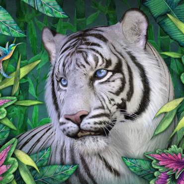 Darstellung des Puzzle Motivs White Tiger Animal Wildlife - Laurie Prindle 1000 Puzzle 3D Modell