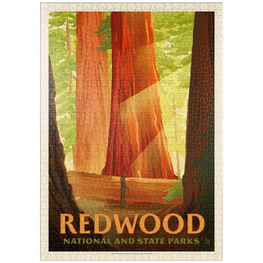 Darstellung des Puzzle Motivs puzzleplate Redwood National And State Parks: Sun Beams 1000 Puzzle