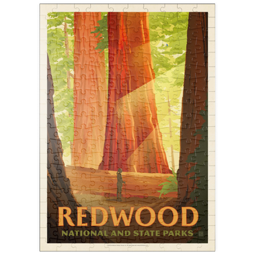 Darstellung des Puzzle Motivs puzzleplate Redwood National And State Parks: Sun Beams 200 Puzzle
