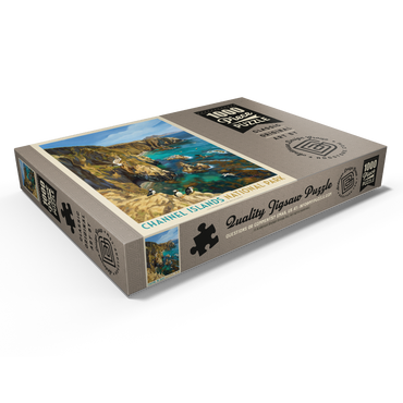 Darstellung des Puzzle Motivs Channel Islands National Park: Birds Of A Feather 1000 Puzzle Schachtel Ansicht1