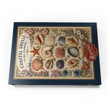Darstellung des Puzzle Motivs Coastal Shells and Sea Flowers Vintage Art Poster 1000 Puzzle Schachtel Ansicht3