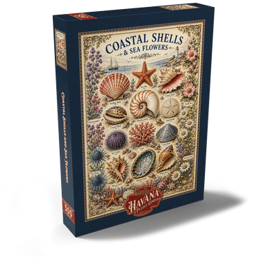 Darstellung des Puzzle Motivs Coastal Shells and Sea Flowers Vintage Art Poster 500 Puzzle Schachtel Ansicht2