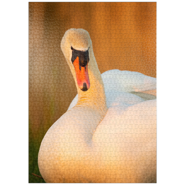 Darstellung des Puzzle Motivs puzzleplate Schwanenblick 1000 Puzzle
