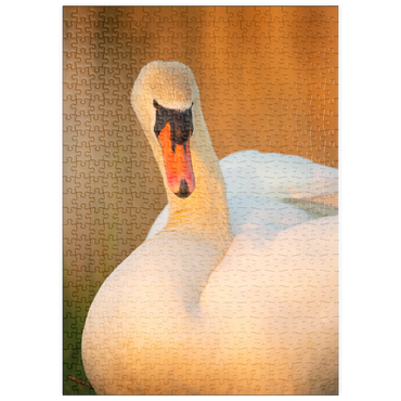 Darstellung des Puzzle Motivs puzzleplate Schwanenblick 500 Puzzle