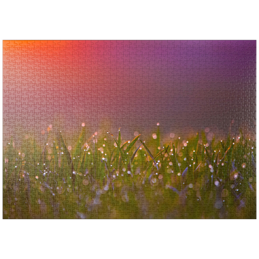 Darstellung des Puzzle Motivs puzzleplate Morgentau 1000 Puzzle