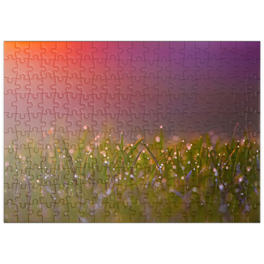 Darstellung des Puzzle Motivs puzzleplate Morgentau 200 Puzzle