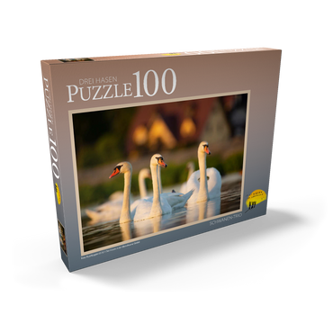 Darstellung des Puzzle Motivs Schwanen-Trio 100 Puzzle Schachtel Ansicht2