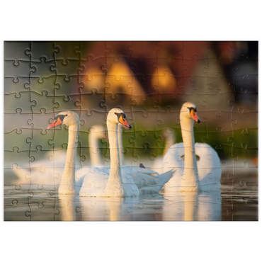 Darstellung des Puzzle Motivs puzzleplate Schwanen-Trio 100 Puzzle
