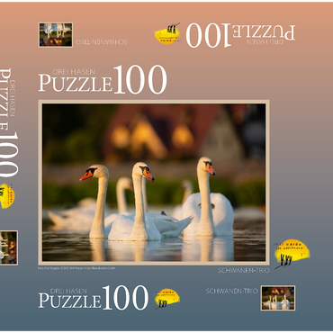 Darstellung des Puzzle Motivs Schwanen-Trio 100 Puzzle Schachtel 3D Modell