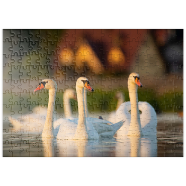 Darstellung des Puzzle Motivs puzzleplate Schwanen-Trio 200 Puzzle
