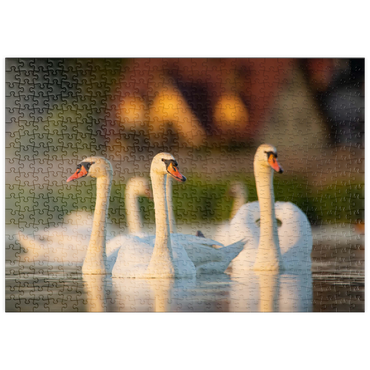 Darstellung des Puzzle Motivs puzzleplate Schwanen-Trio 500 Puzzle