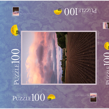 Darstellung des Puzzle Motivs Lila Wolken 100 Puzzle Schachtel 3D Modell