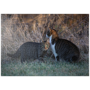 Darstellung des Puzzle Motivs puzzleplate Nala und Minka 1000 Puzzle