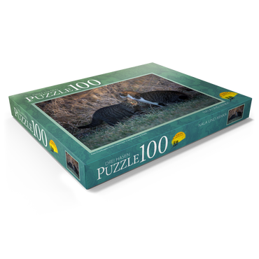 Darstellung des Puzzle Motivs Nala und Minka 100 Puzzle Schachtel Ansicht1