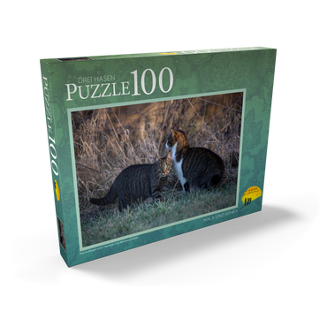Darstellung des Puzzle Motivs Nala und Minka 100 Puzzle Schachtel Ansicht2