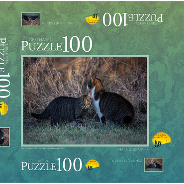 Darstellung des Puzzle Motivs Nala und Minka 100 Puzzle Schachtel 3D Modell