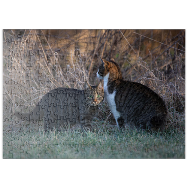 Darstellung des Puzzle Motivs puzzleplate Nala und Minka 200 Puzzle