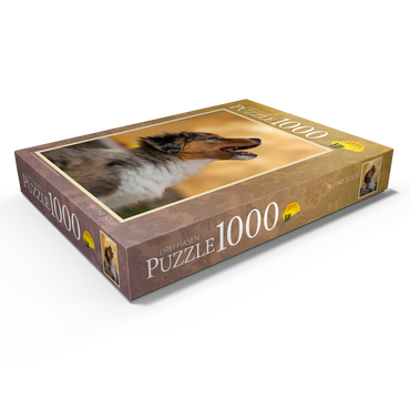 Darstellung des Puzzle Motivs Kleine Solei 1000 Puzzle Schachtel Ansicht1