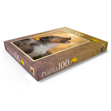 Darstellung des Puzzle Motivs Kleine Solei 100 Puzzle Schachtel Ansicht1